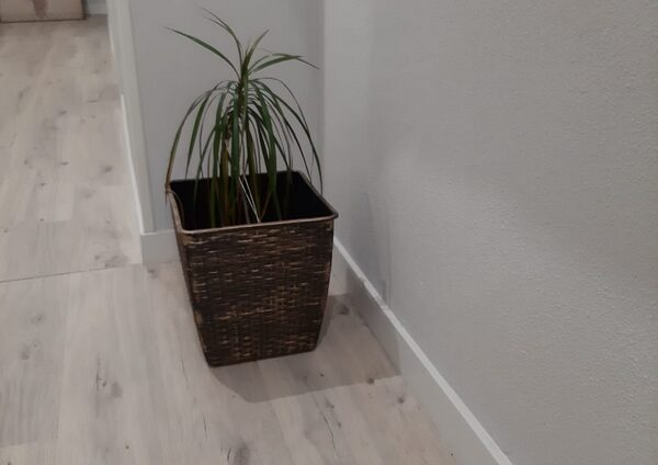 Suelos laminados con decoración