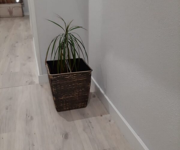 Suelos laminados con decoración